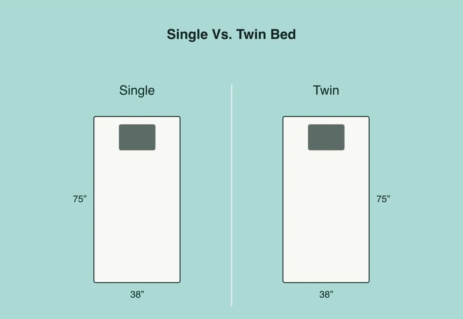 Twin XL Vs Split King : What Is the Difference? - Sleep Authority